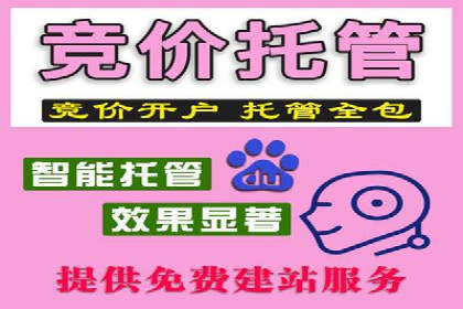 案例研究：SEM优化助力企业品牌建设